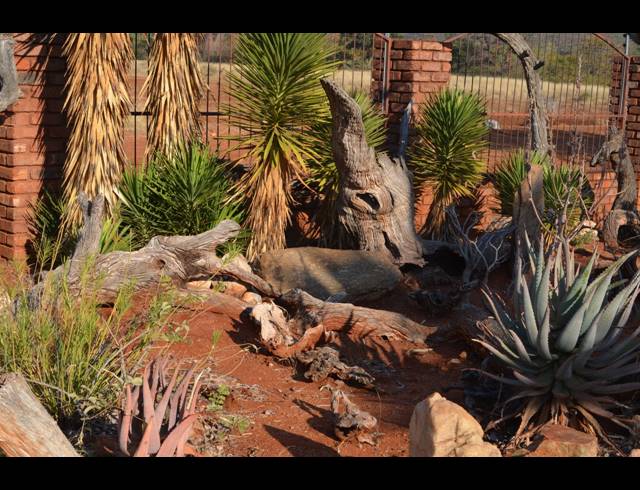 FARM FOR SALE IN MUSINA RURAL